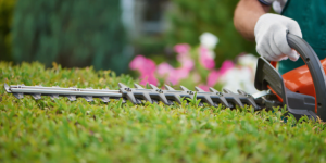 Bildschirmfoto 2021-05-21 um 19.05.39